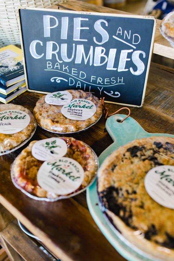 a table full of pies